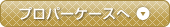プロパーケースへ