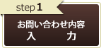 入力